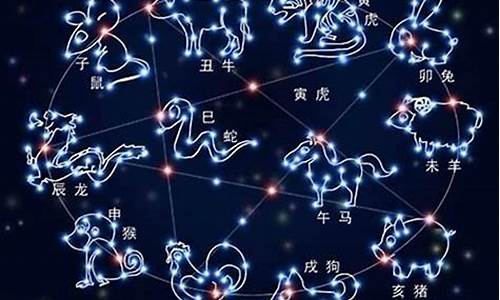 十二星座未来是什么命_十二星座未来都会干什么