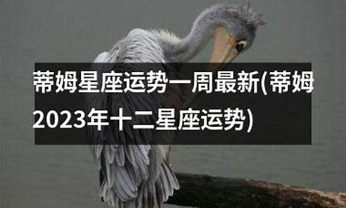 巨蟹座2025年运势_蒂姆2023年星座运势巨蟹